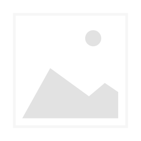 Karosserie und Motoren Reiniger ua. zur Teerentfernung Restom®Motornet 2010